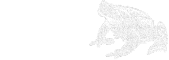dao5